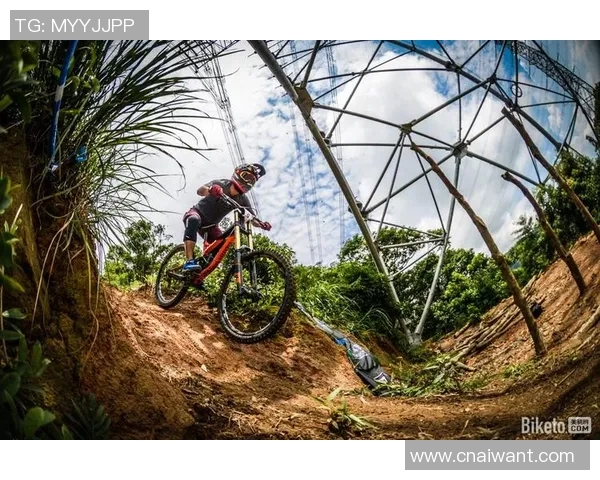 深圳极限运动队在城市马拉松积分榜中以93分稳居第一名